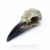 Czaszka Kruka Figurka - Alchemy Omega Raven Skull